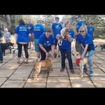 Susan Marinier - @susanmarinier - Instagram