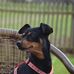 Susan Dehnert-Markert - Facebook