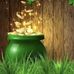 Susan Noll Markowski - Facebook