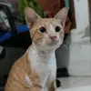 susan marlina - @susan.marlina - TikTok