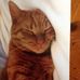 Susan Klasek-Marren - Facebook