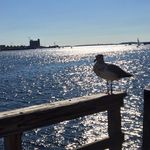 Susan Marro - @susanmarro - Instagram