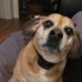 Susan Marron - Facebook