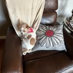Susan Martel-Patterson - @susanmartelpatterson - Instagram