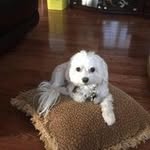 @susanmartellogill60 - Instagram