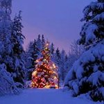 Susan Thomson Masson - @susanthomsonmasson - Instagram