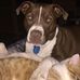 Susan Matta - Facebook