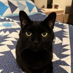 Susan Mattern - @steelerslady36 - Instagram