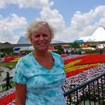 Susan Matthew - @susanmatthew8 - Instagram