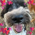 Susan Mattison - @sumattison1 - Instagram