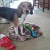 Susan Mattison - Facebook