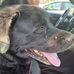 Susan Mattison - Facebook