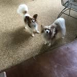 Susan Mattison - @mattison372 - Instagram