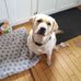 Susan Mattison - Facebook