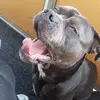 Susan Mauersberger - @susan.mauersberge - TikTok