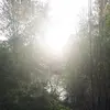 Susanne Mauerhofer - @susanne.mauerhofe - TikTok