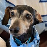 Susan Mauney Catron - @smcatron - Instagram