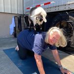 Susan Mauney Catron - @susanmauneycatron - Instagram