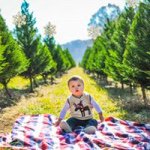 Susan Mayes - @symayes - Instagram