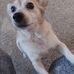 Susan Mayes - Facebook