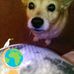 Susan Mayes - Facebook