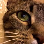 Susan Mayor - @denzray.tn - Instagram