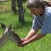 Susan Mcafee - Facebook
