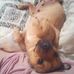 Susan Mcafee - Facebook