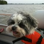 Susan McAtee - @susan_mcatee - Instagram