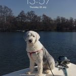 susan mcavoy - @mufcnurse - Instagram