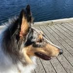 Susan McCain - @susan.mccain - Instagram