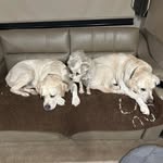 Susan McCain Clark - @susan.clark.1217 - Instagram