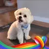 Susan - @susanmccain42 - TikTok