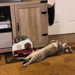 Susan McCammon - @mccammon484 - Instagram