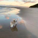 Susan McCammon Gheller - @gheller.susan - Instagram