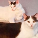 Susan Berlin McComb - @sbmccomb - Instagram