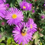 Susan McCombe - @mccombe.susan - Instagram