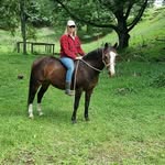 Susan McCraw - @susanmc08 - Instagram