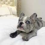 Susan McCraw - @mccraw80 - Instagram
