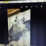 Susan Mccune - @sfmccune - Instagram