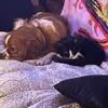 susanmccuneisaacb - @susanmccuneisaacb - TikTok