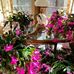 Susan McDade - Facebook