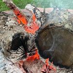 Susan McDade Wagner - @255wagner - Instagram