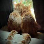 Susan McDevitt King - @susan.m.king.37 - Instagram