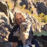 Susan McDevitt Ward - @susanmcward - Instagram