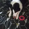 Susan McDonnell - @susan.mcdonnell5 - TikTok