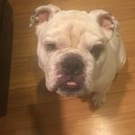 Susan Mcdonnell - @susan.mcdonnell.9809 - Instagram