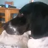 susan - @susan.mcdonnell - TikTok