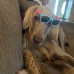 Susan McEachern - @mceachern4884 - Instagram