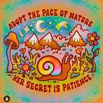 Susan McElroy - @scuusan8426 - Instagram